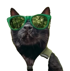 Milo Cat wearing green forest-reflecting sunglasses and a trail harness
